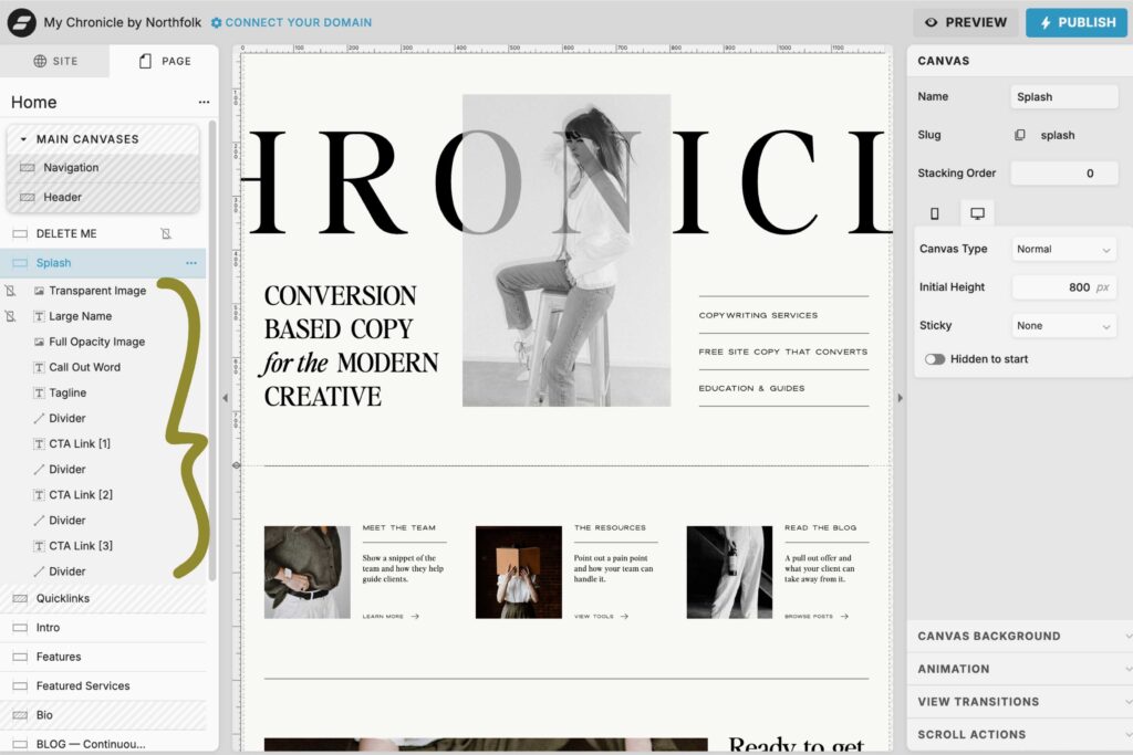 screenshot of Showit's back-end canvas elements examples